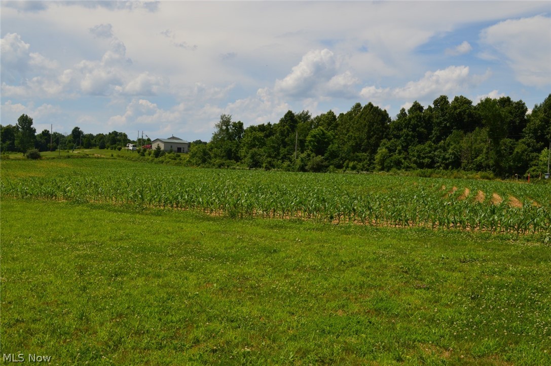 755 Tabor Ridge Road Stockport, OH 43787 - Photo 5 of 22 Gallery Image 5