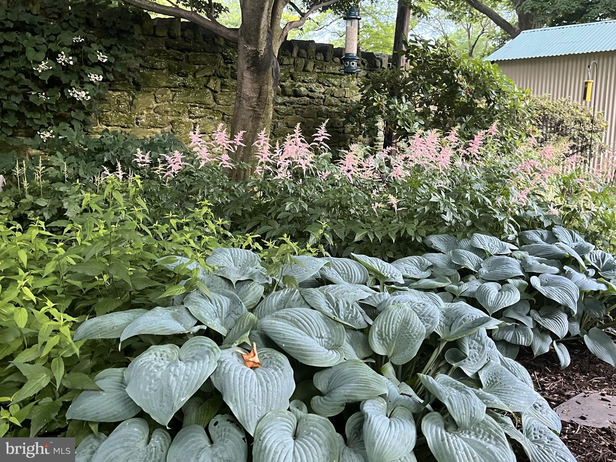 125 Township Line Road Jenkintown, PA 19046 - Photo 36 of 41 a picture of tree