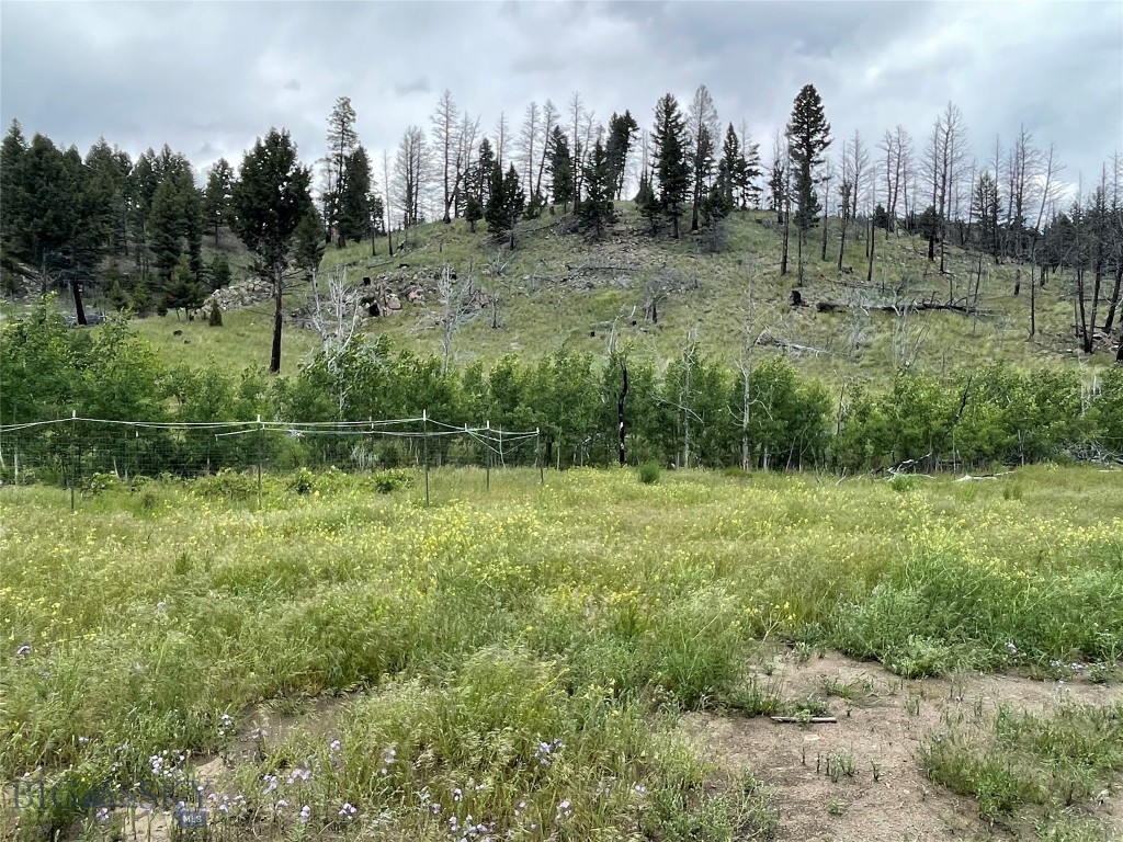 10 Lower Rader Crk Road Whitehall, MT 59759 - Photo 17 of 28 Gallery Image 17