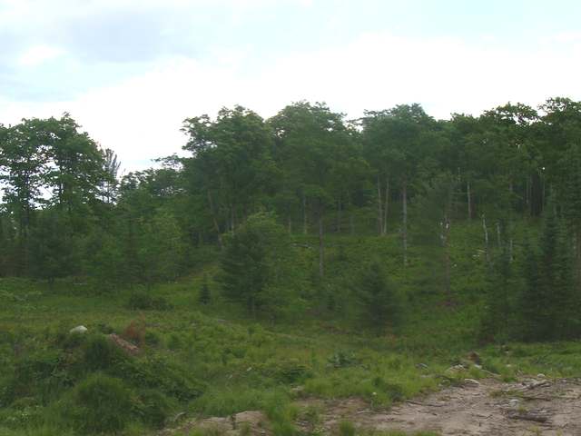 35-ac Goodnow Road Harshaw, WI 54529 - Photo 5 of 6 Gallery Image 5