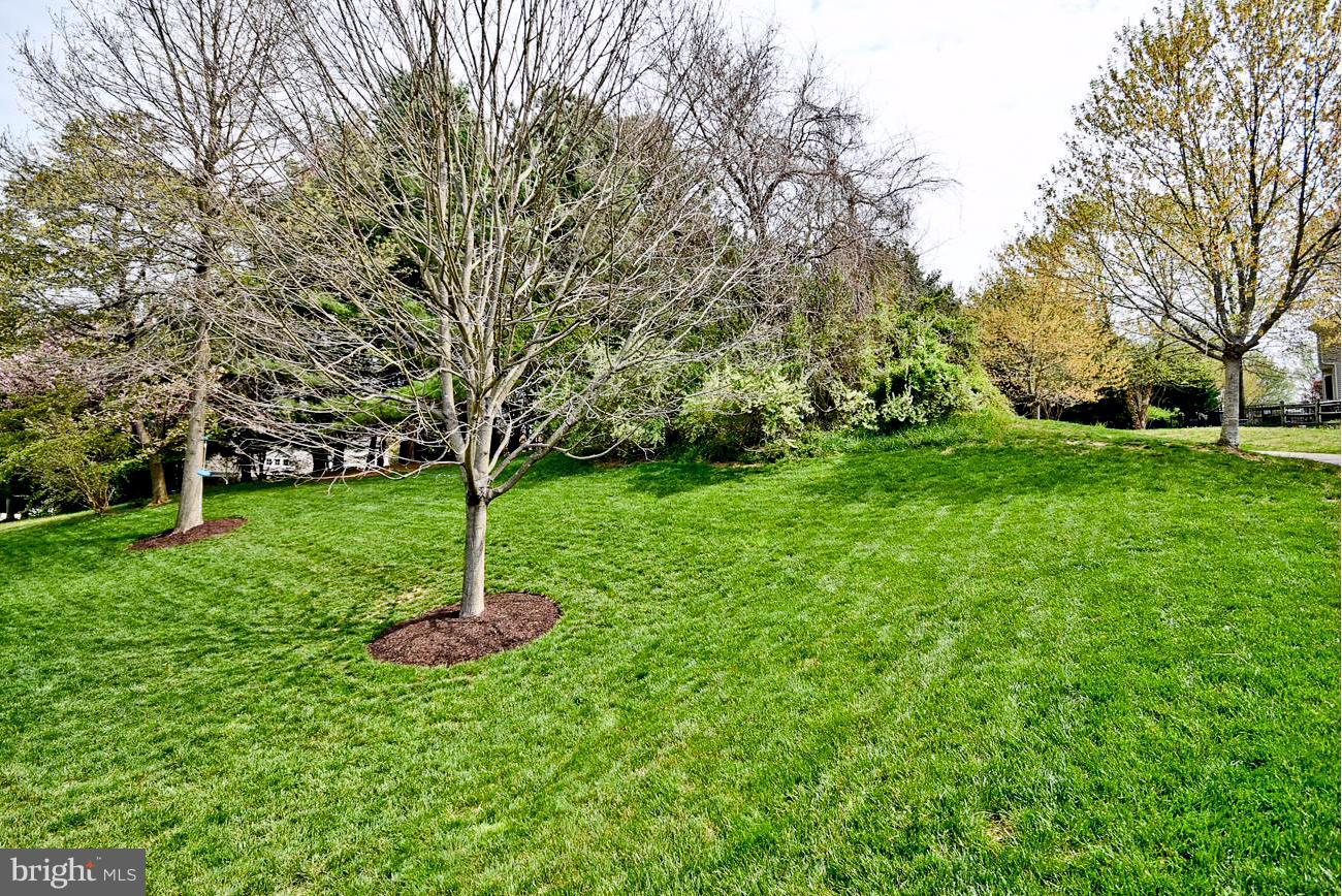 6417 Empty Song Road Columbia, MD 21044 - Photo 4 of 30 Exterior (General)