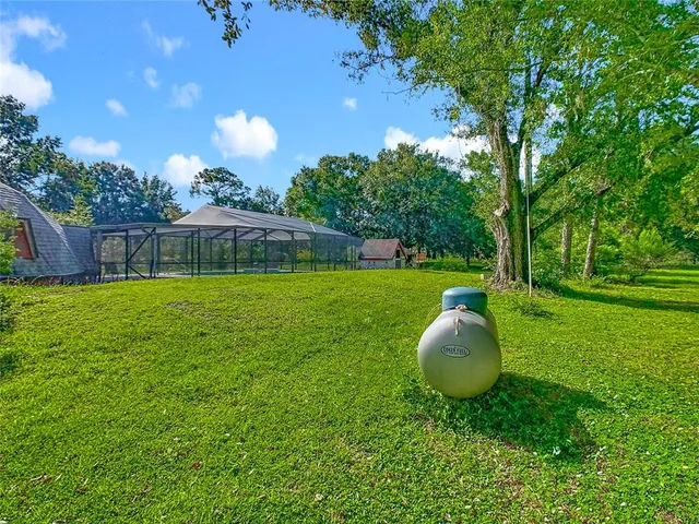 a view of a backyard with a garden and plants