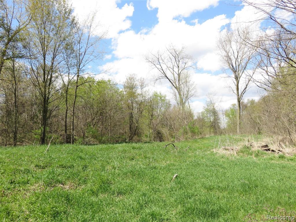 0 South Elliott Road Fowlerville, MI 48836 - Photo 7 of 22