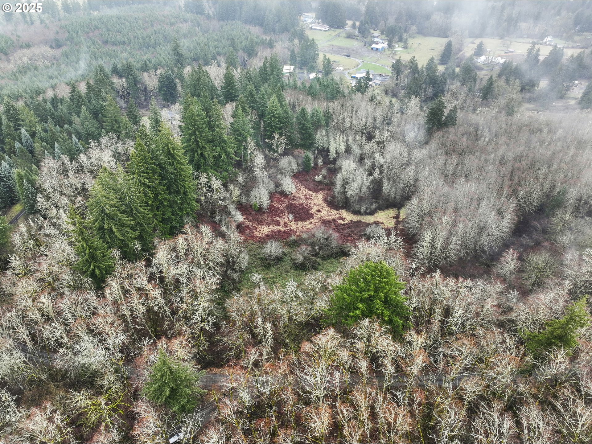 Northeast 197th Court Amboy, WA 98601 - Photo 11 of 22