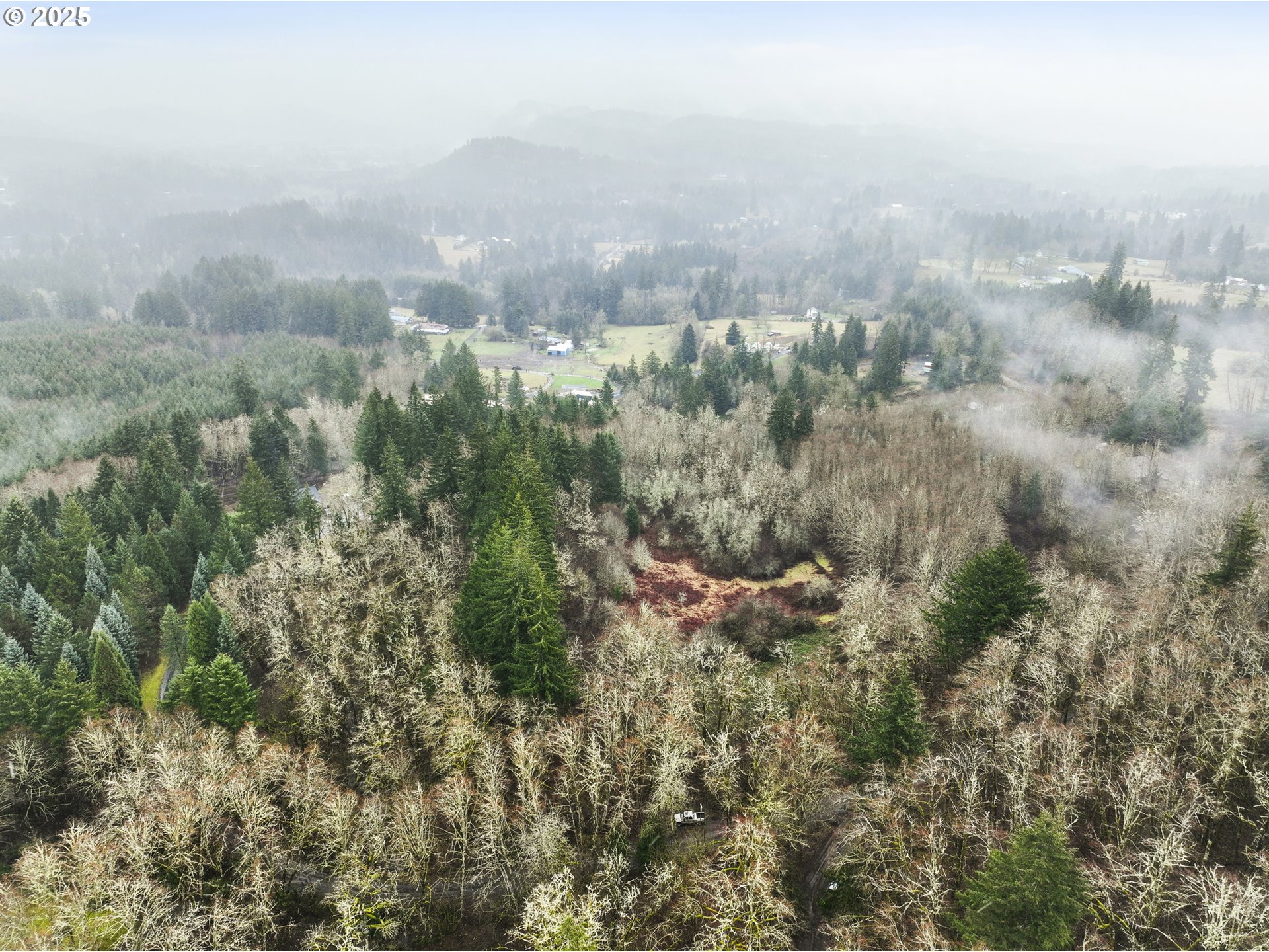 Northeast 197th Court Amboy, WA 98601 - Photo 12 of 22