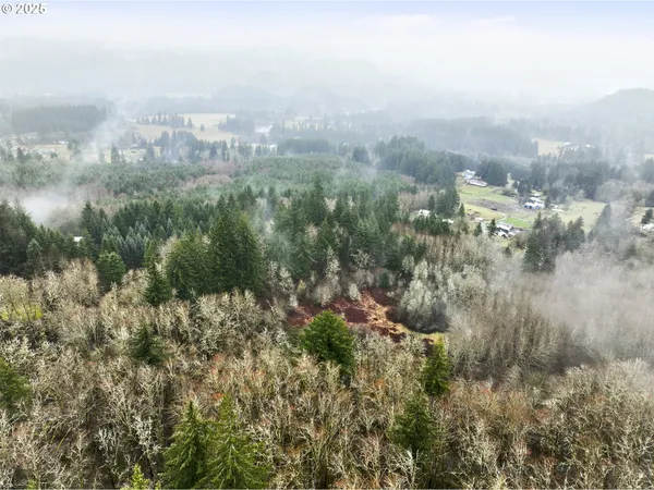 $560,000 | Northeast 197th Court, Amboy, WA 98601