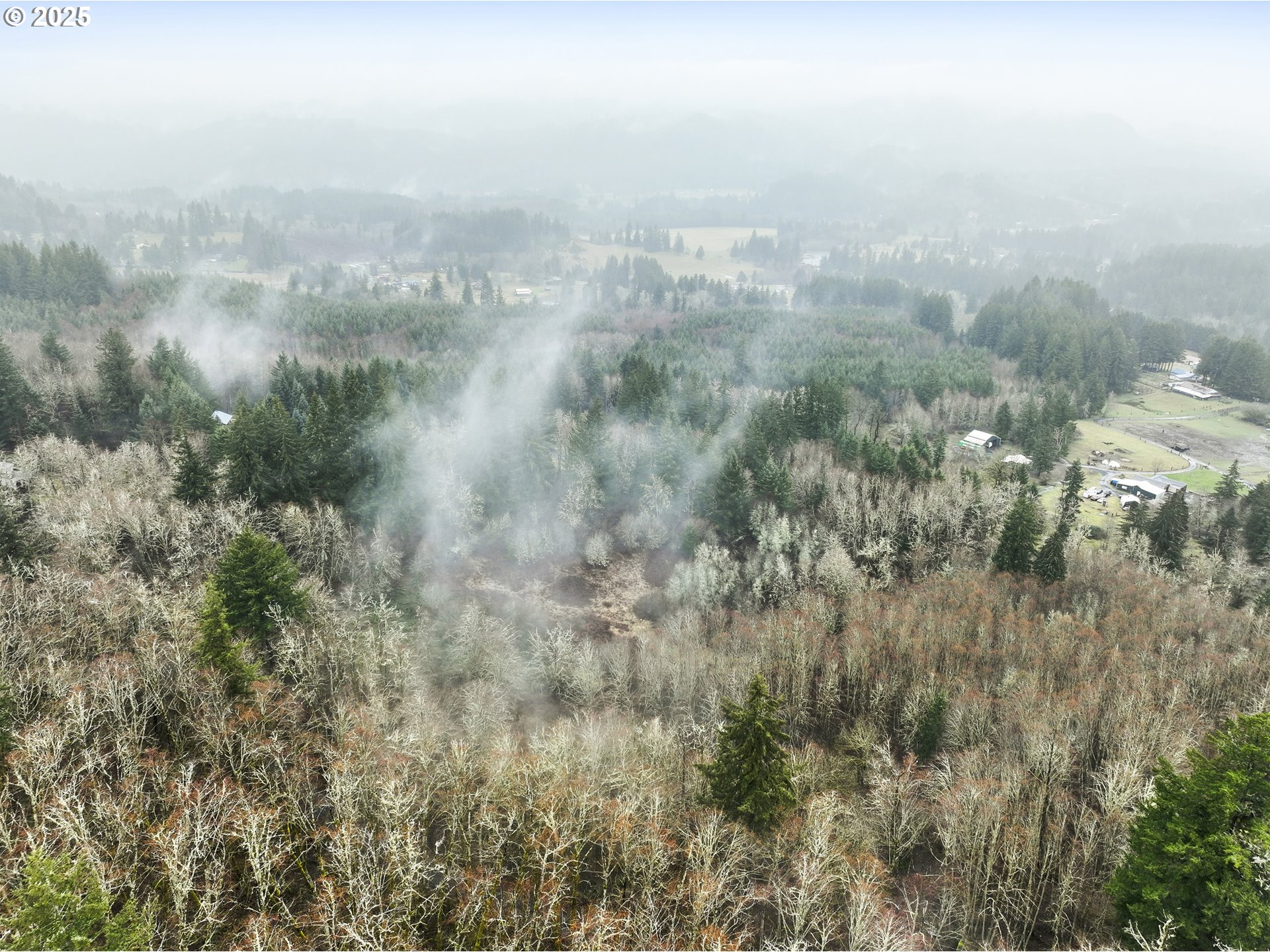 Northeast 197th Court Amboy, WA 98601 - Photo 14 of 22