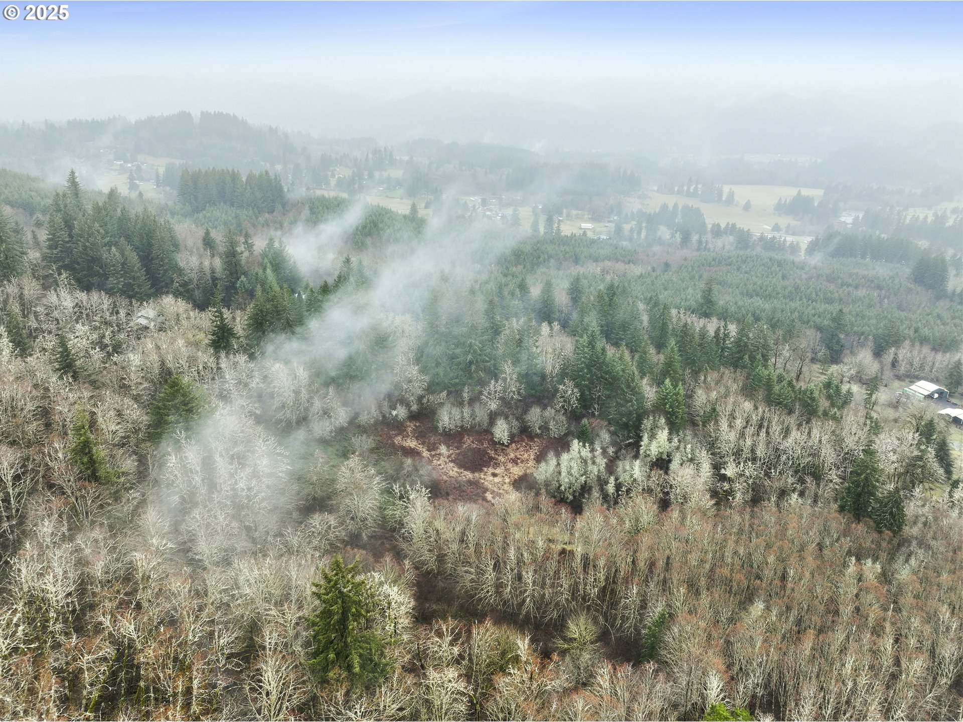 Northeast 197th Court Amboy, WA 98601 - Photo 15 of 22