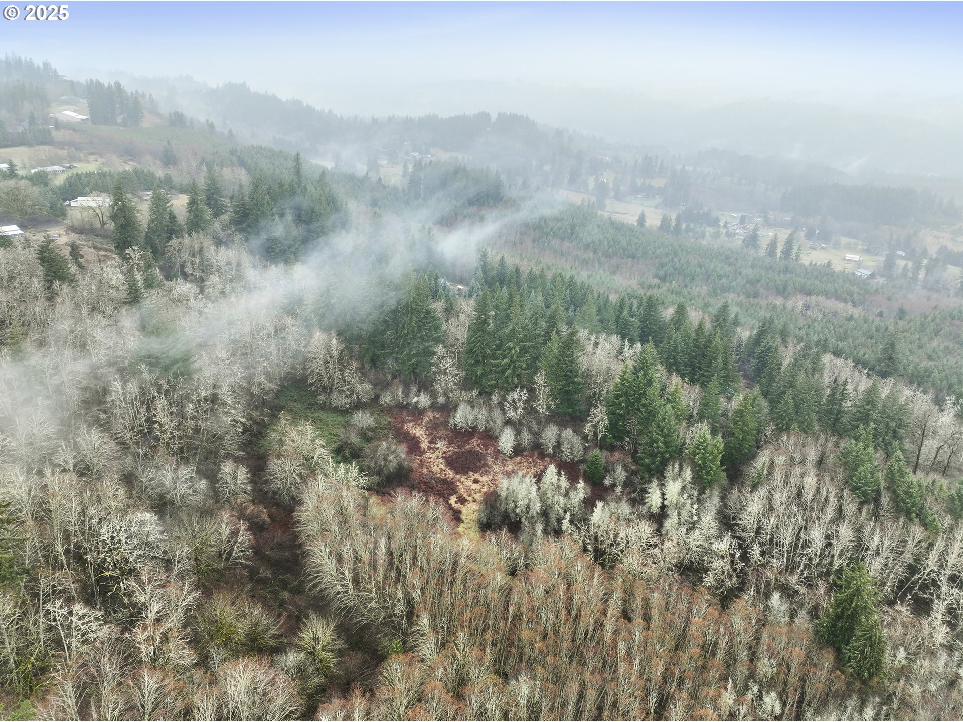 Northeast 197th Court Amboy, WA 98601 - Photo 16 of 22