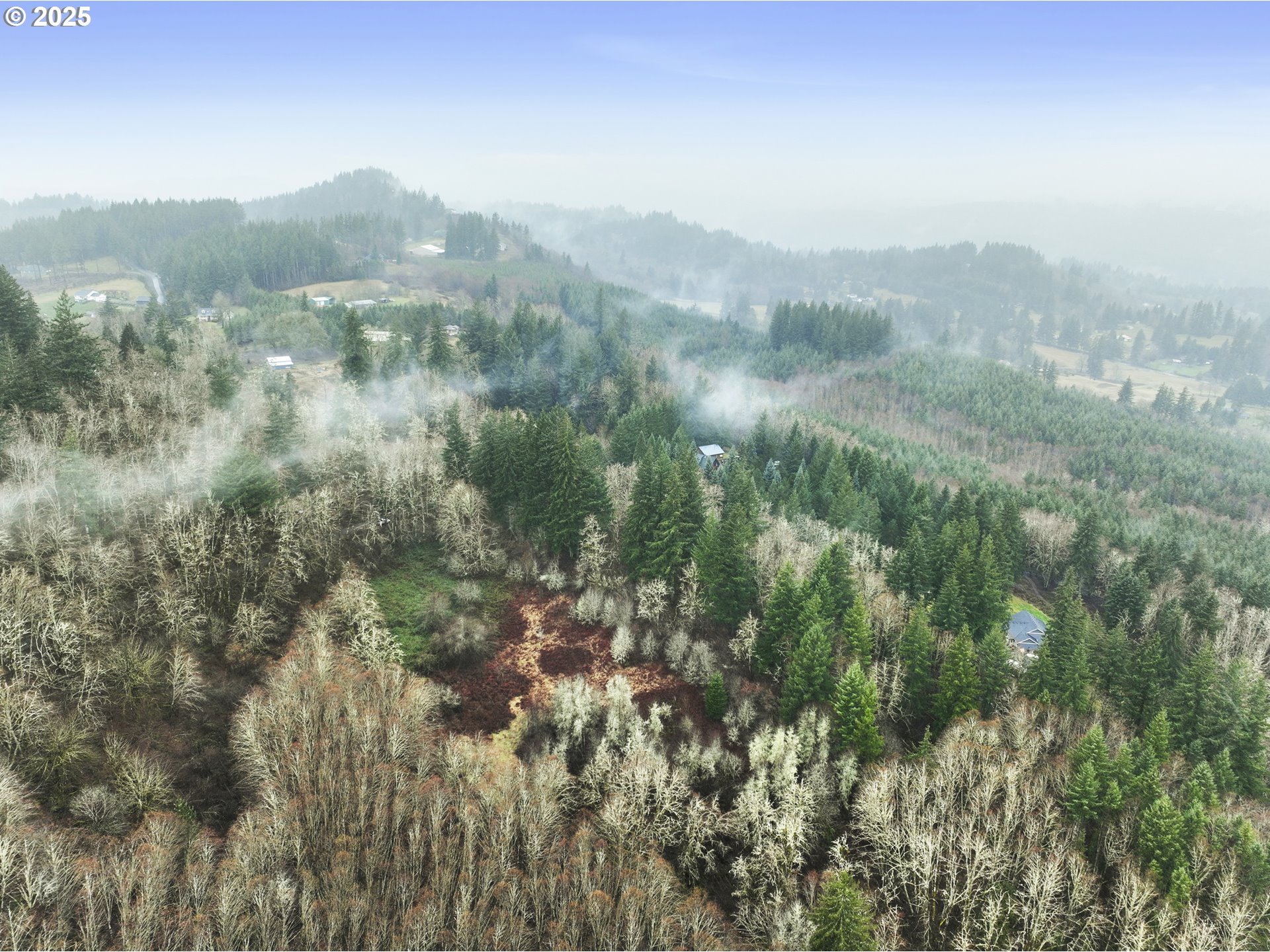 Northeast 197th Court Amboy, WA 98601 - Photo 17 of 22