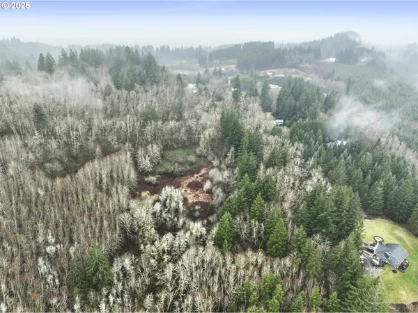 $560,000 | Northeast 197th Court, Amboy, WA 98601