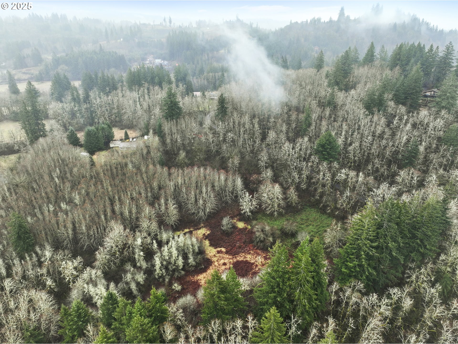 Northeast 197th Court Amboy, WA 98601 - Photo 19 of 22