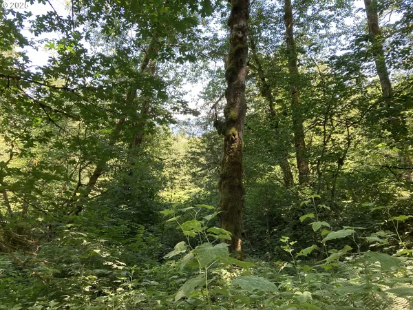 $560,000 | Northeast 197th Court, Amboy, WA 98601