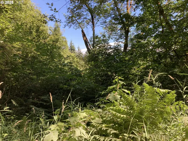 $560,000 | Northeast 197th Court, Amboy, WA 98601