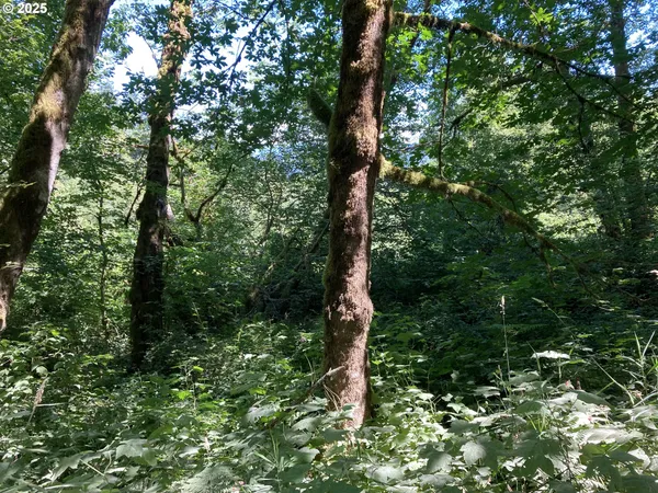 $560,000 | Northeast 197th Court, Amboy, WA 98601