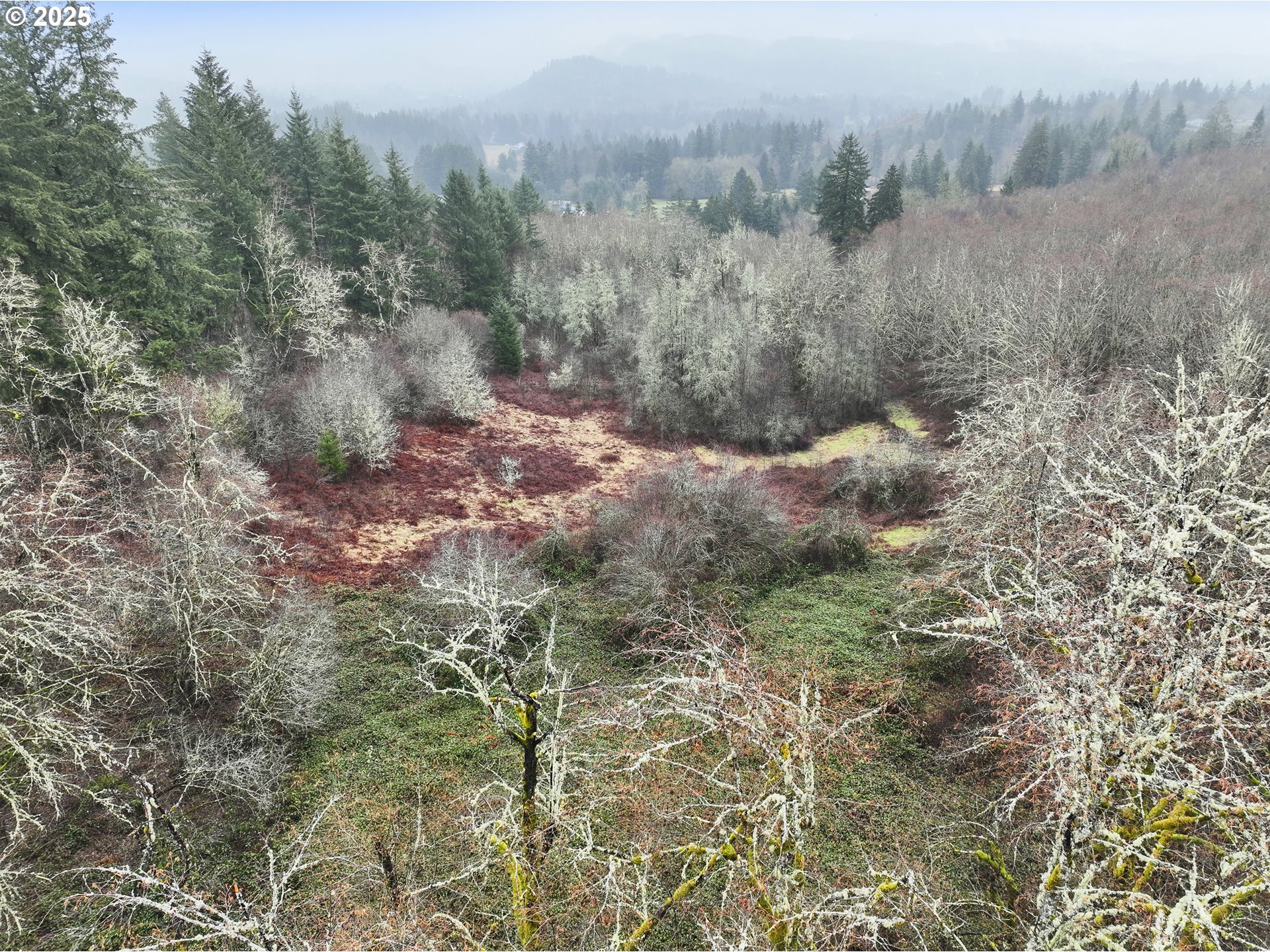 Northeast 197th Court Amboy, WA 98601 - Photo 9 of 22