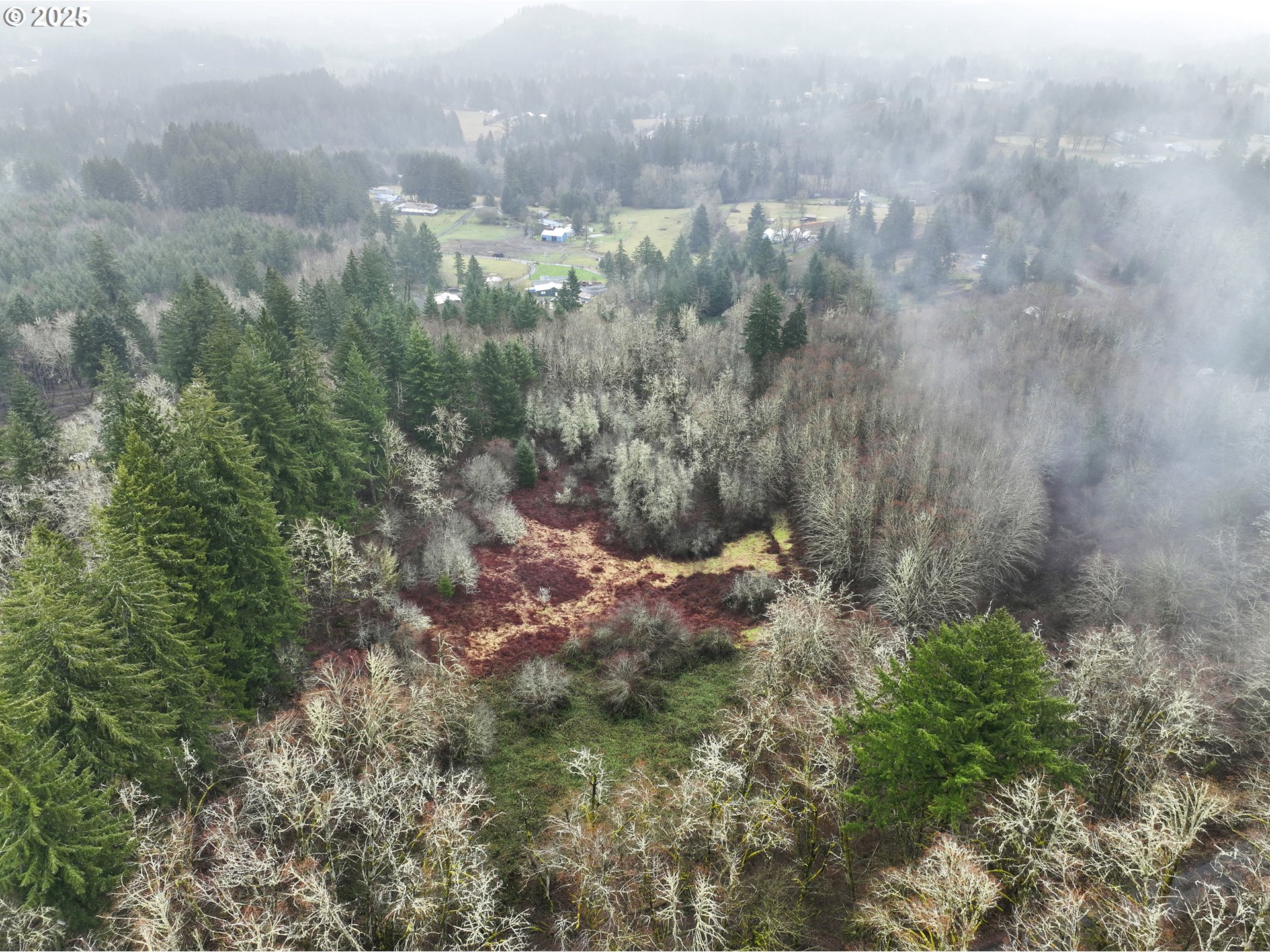 Northeast 197th Court Amboy, WA 98601 - Photo 10 of 22