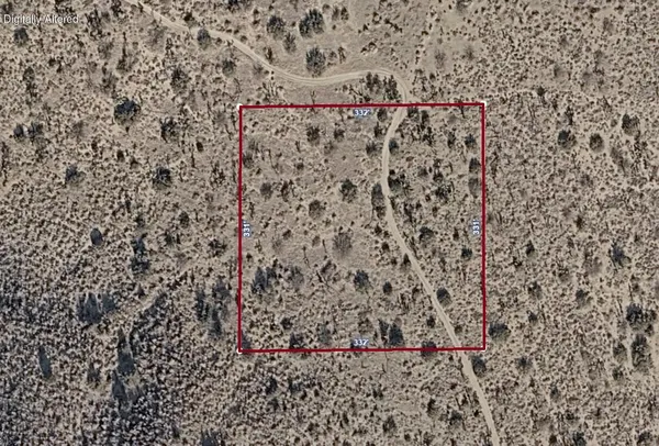 a view of a dry yard with trees