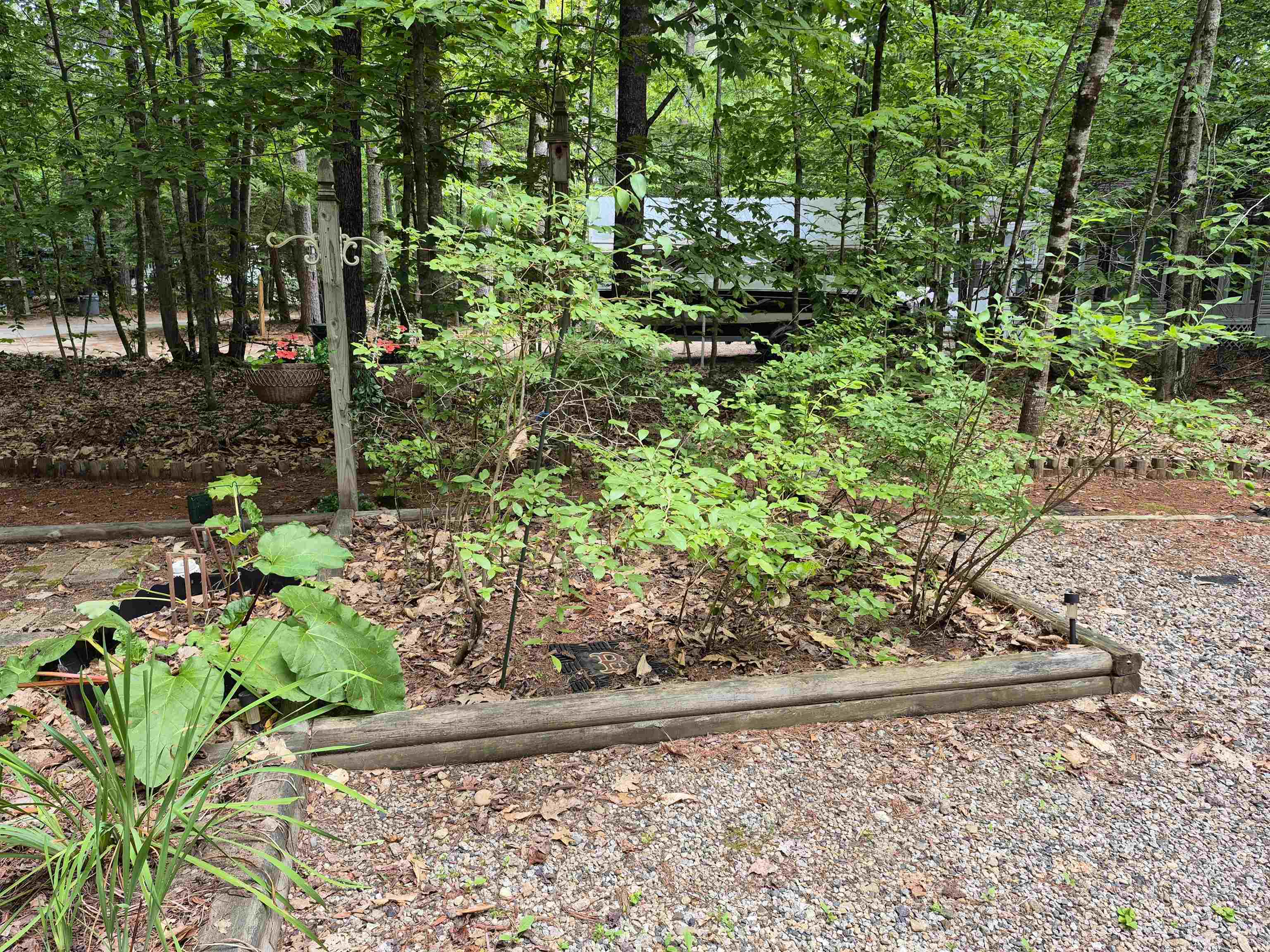 40 Pine Road East Wakefield, NH 03830 - Photo 5 of 52