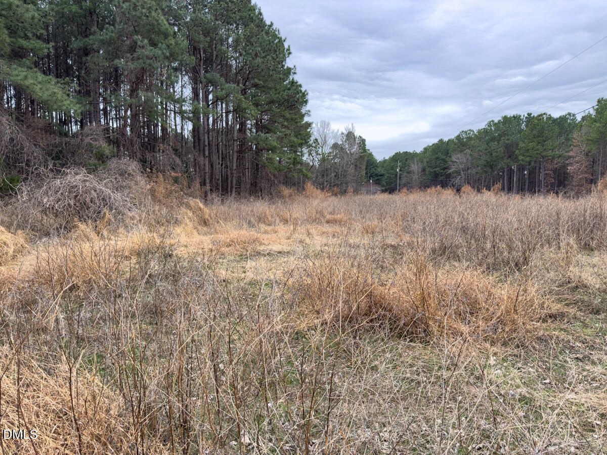 0 Mt Pleasant Church Road Manson, NC 27553 - Photo 15 of 43 15
