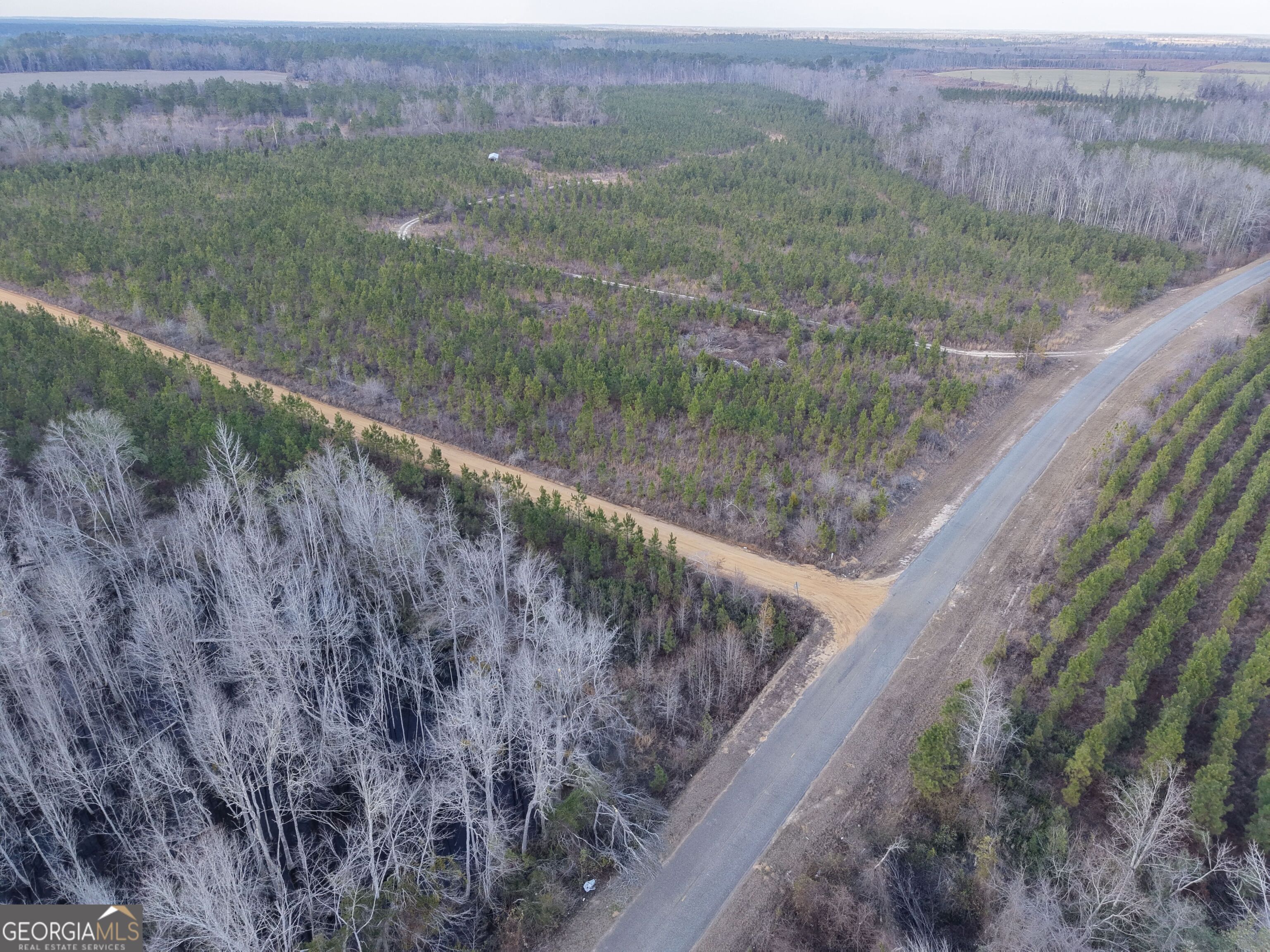 2 Powell School Road Lumber City, GA 31549 - Photo 11 of 19