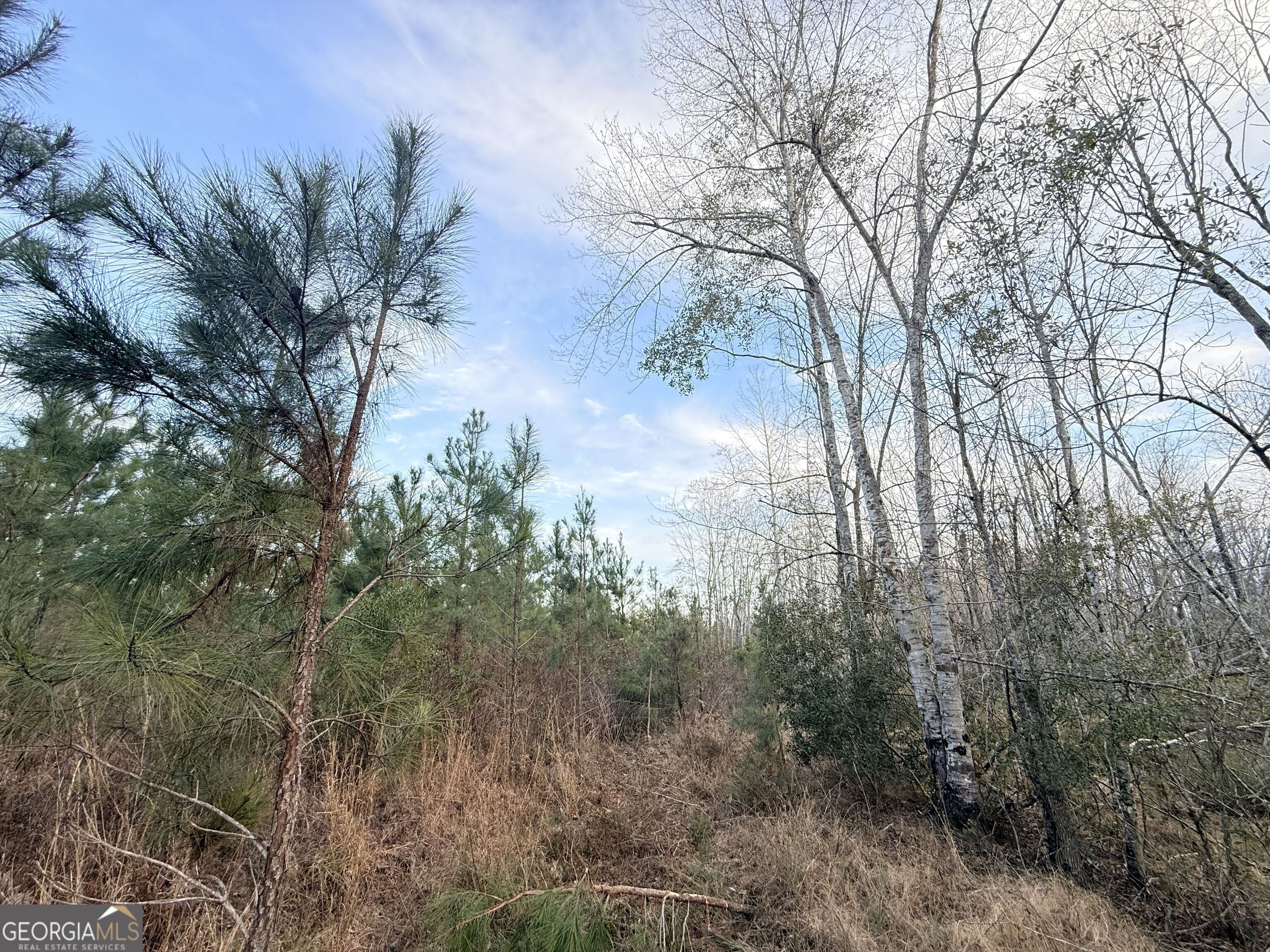 2 Powell School Road Lumber City, GA 31549 - Photo 15 of 19