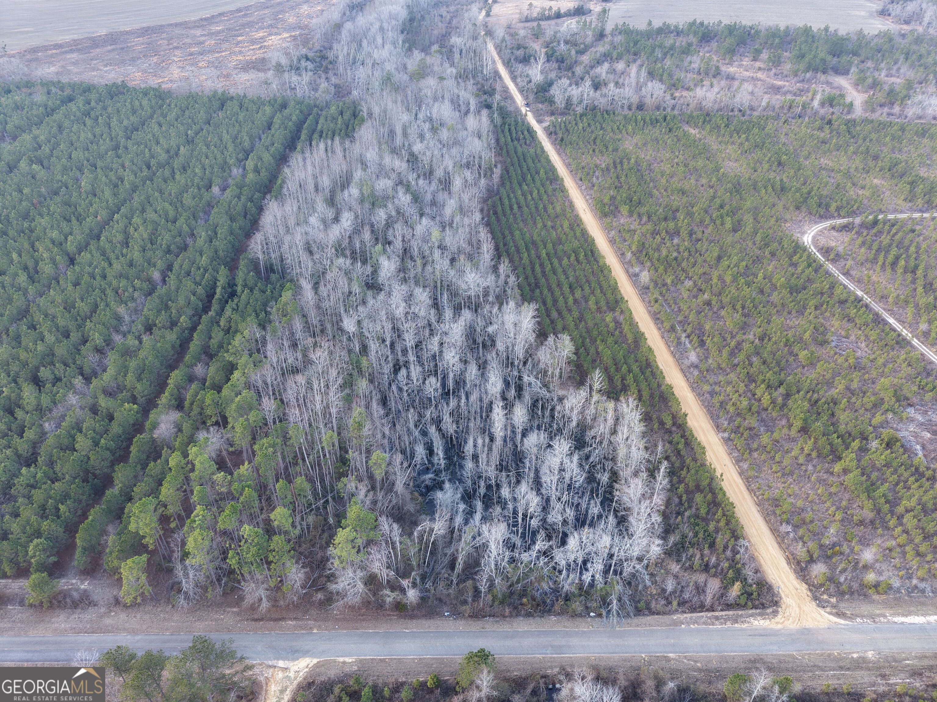 2 Powell School Road Lumber City, GA 31549 - Photo 17 of 19