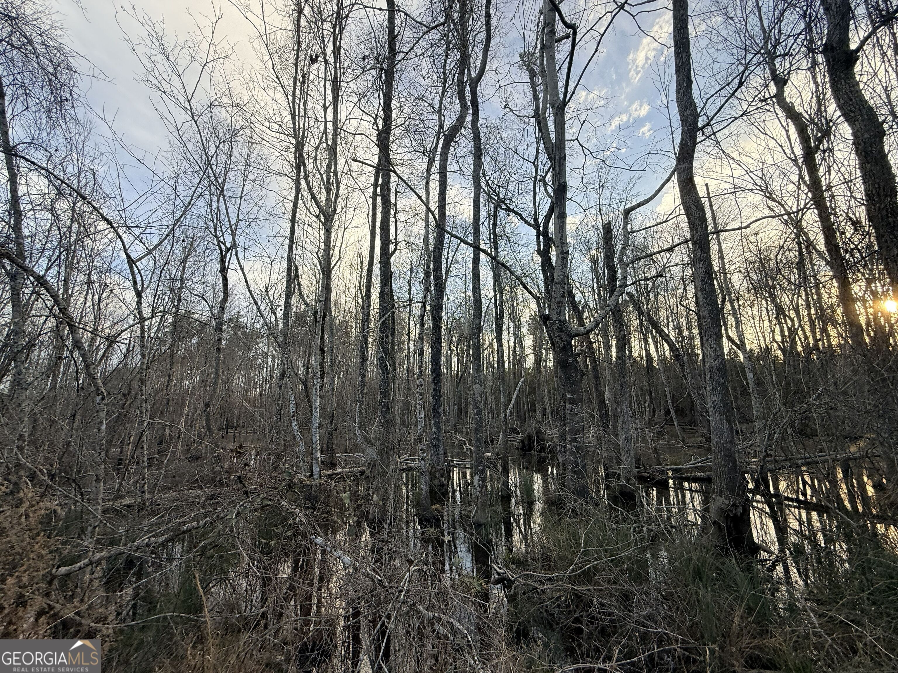 2 Powell School Road Lumber City, GA 31549 - Photo 19 of 19