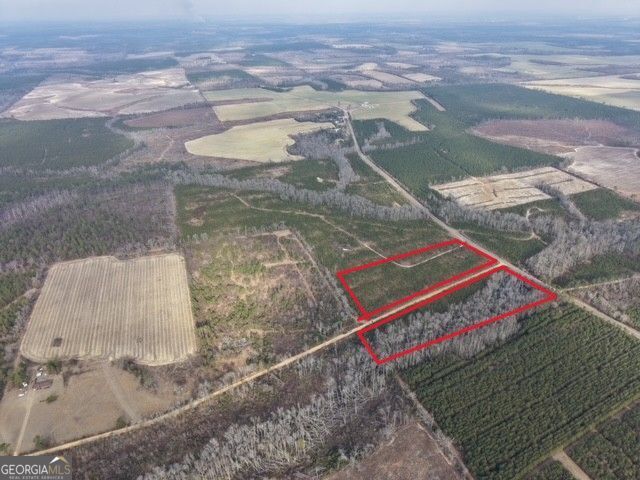 2 Powell School Road Lumber City, GA 31549 - Photo 2 of 19