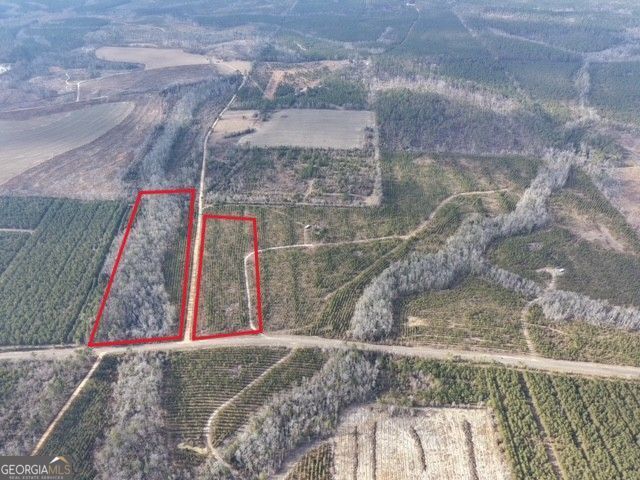 2 Powell School Road Lumber City, GA 31549 - Photo 3 of 19