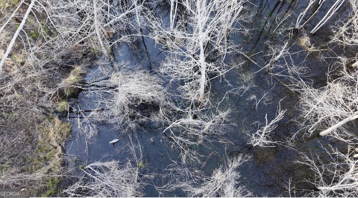 2 Powell School Road Lumber City, GA 31549 - Photo 5 of 19