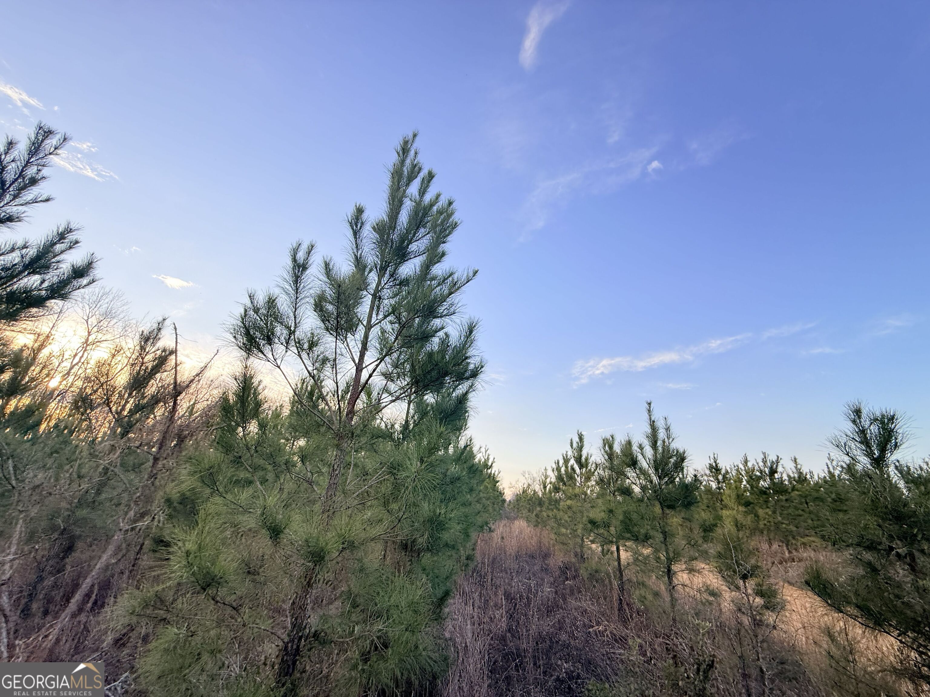 2 Powell School Road Lumber City, GA 31549 - Photo 7 of 19