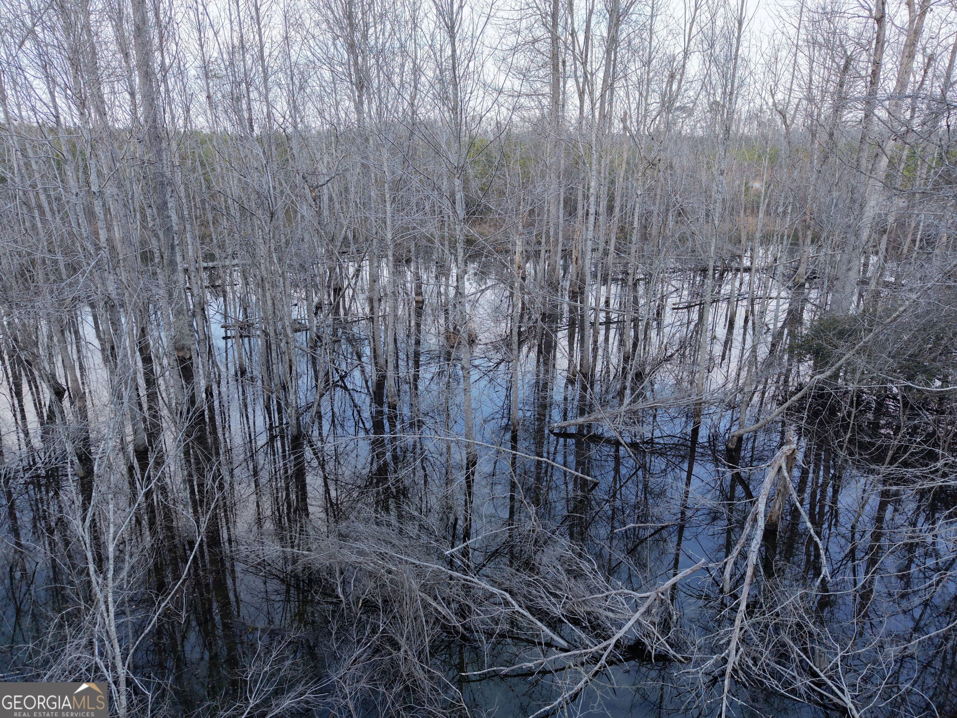 2 Powell School Road Lumber City, GA 31549 - Photo 9 of 19