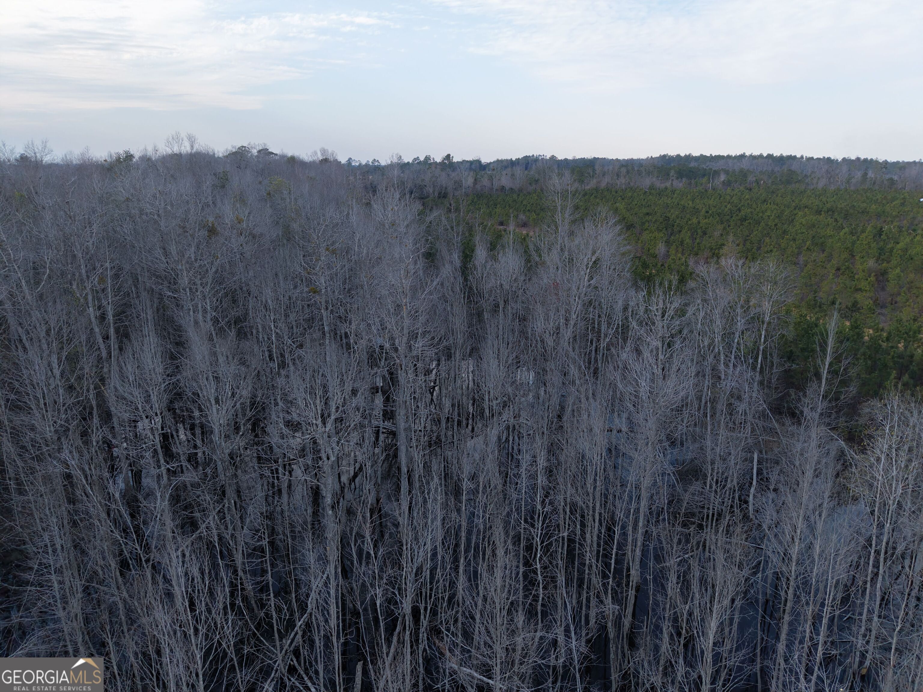 2 Powell School Road Lumber City, GA 31549 - Photo 10 of 19