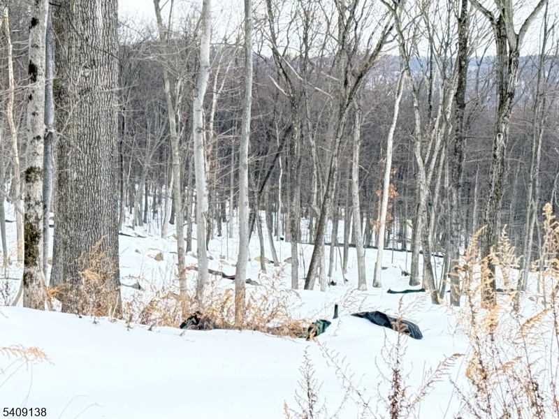 10 Bristol Ridge Boonton, NJ 07005 - Photo 2 of 2 a view of covered with snow
