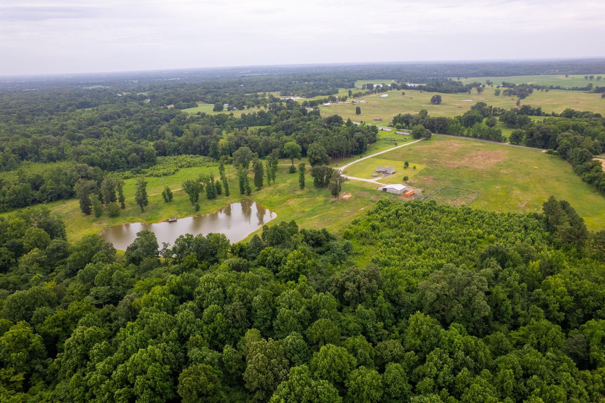 2990 Curve Woodville Road Ripley, TN 38063 - Photo 8 of 18