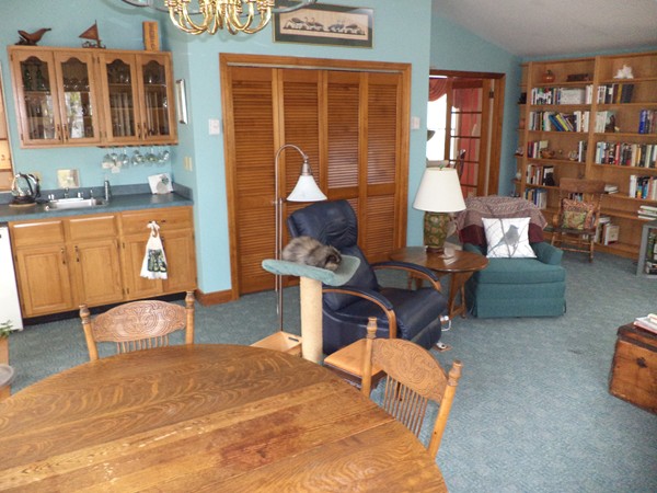 41 Thornton Road Waltham, MA 02453 - Photo 3 of 15