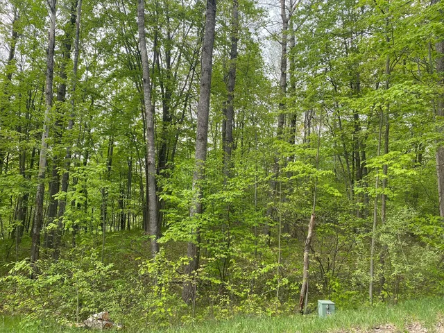 $3,750 | Ticino Drive, Reed City, MI 49677