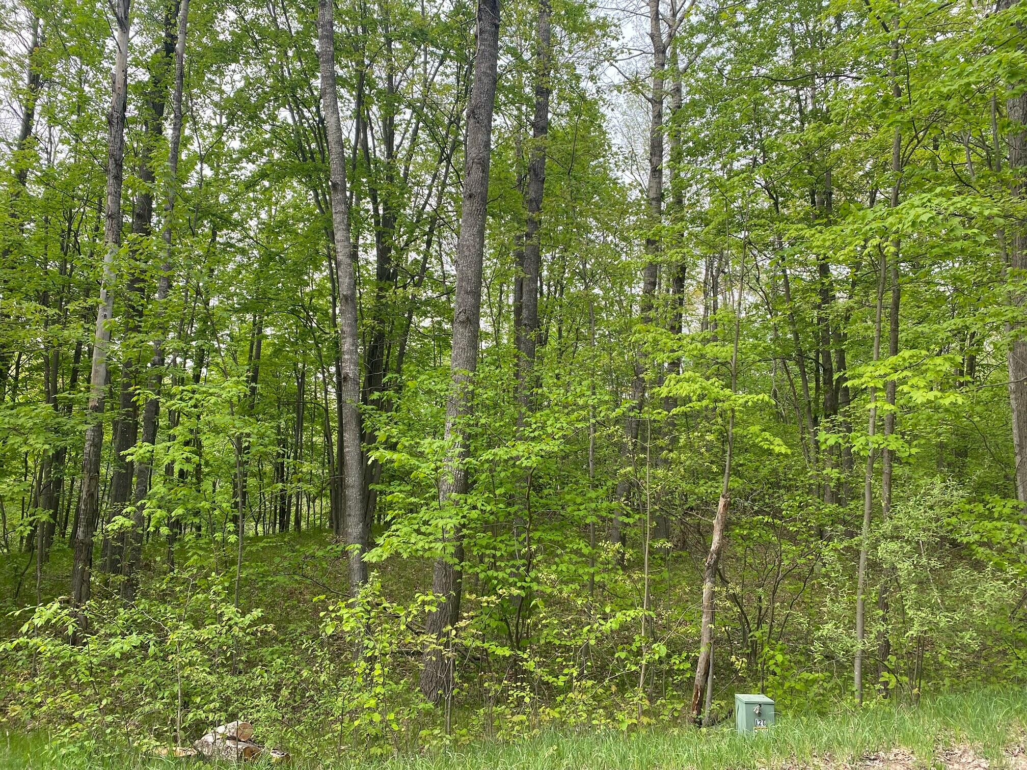 Ticino Drive Reed City, MI 49677 - Photo 2 of 8 2