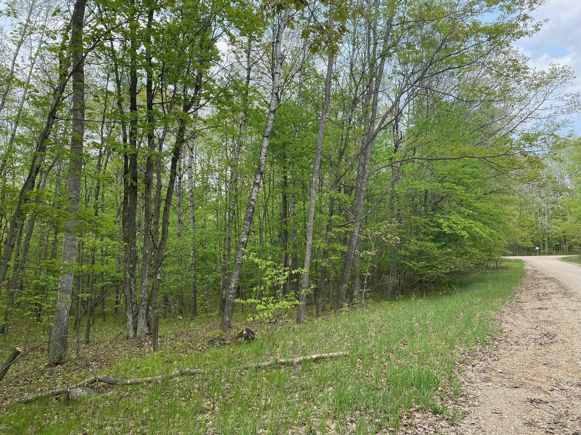 Ticino Drive Reed City, MI 49677 - Photo 3 of 8 3