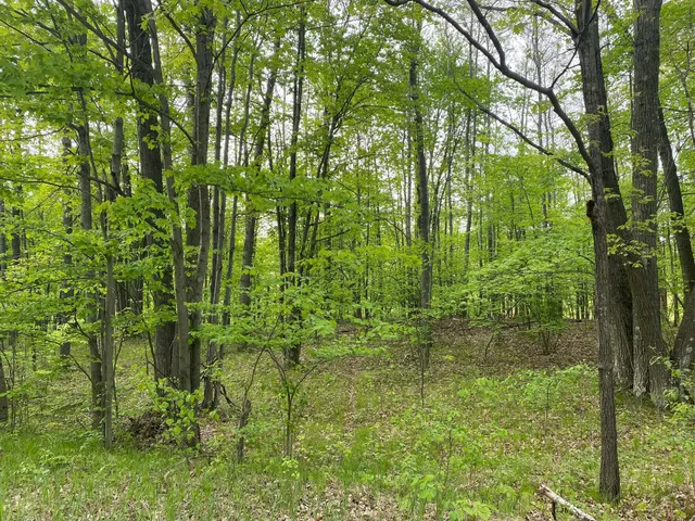 $3,750 | Ticino Drive, Reed City, MI 49677