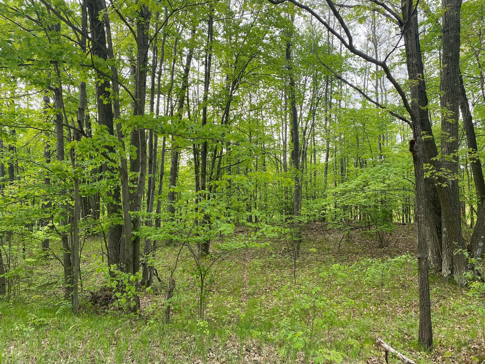 Ticino Drive Reed City, MI 49677 - Photo 5 of 8 5