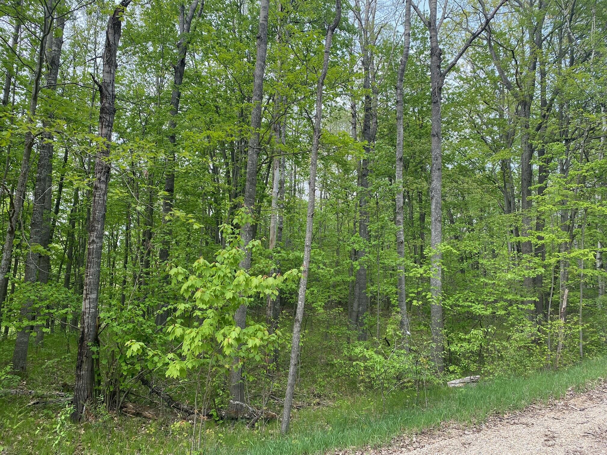 Ticino Drive Reed City, MI 49677 - Photo 6 of 8 6