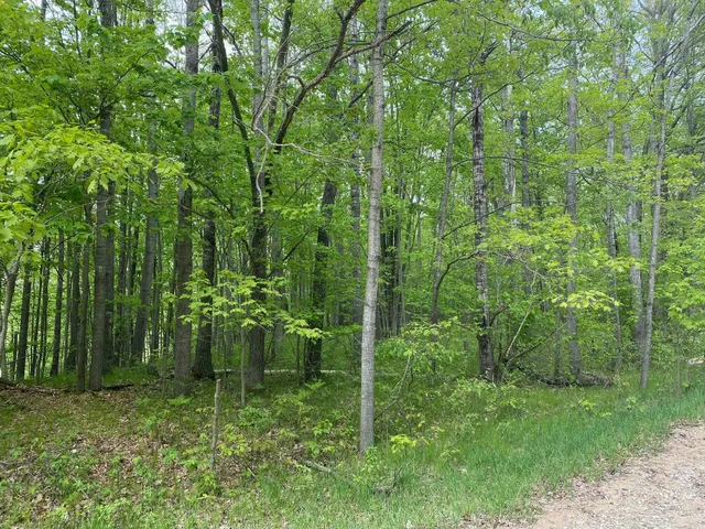 $3,750 | Ticino Drive, Reed City, MI 49677