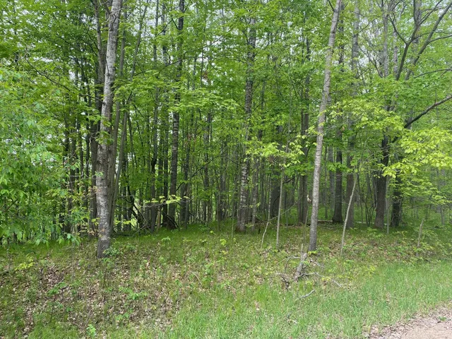 $3,750 | Ticino Drive, Reed City, MI 49677