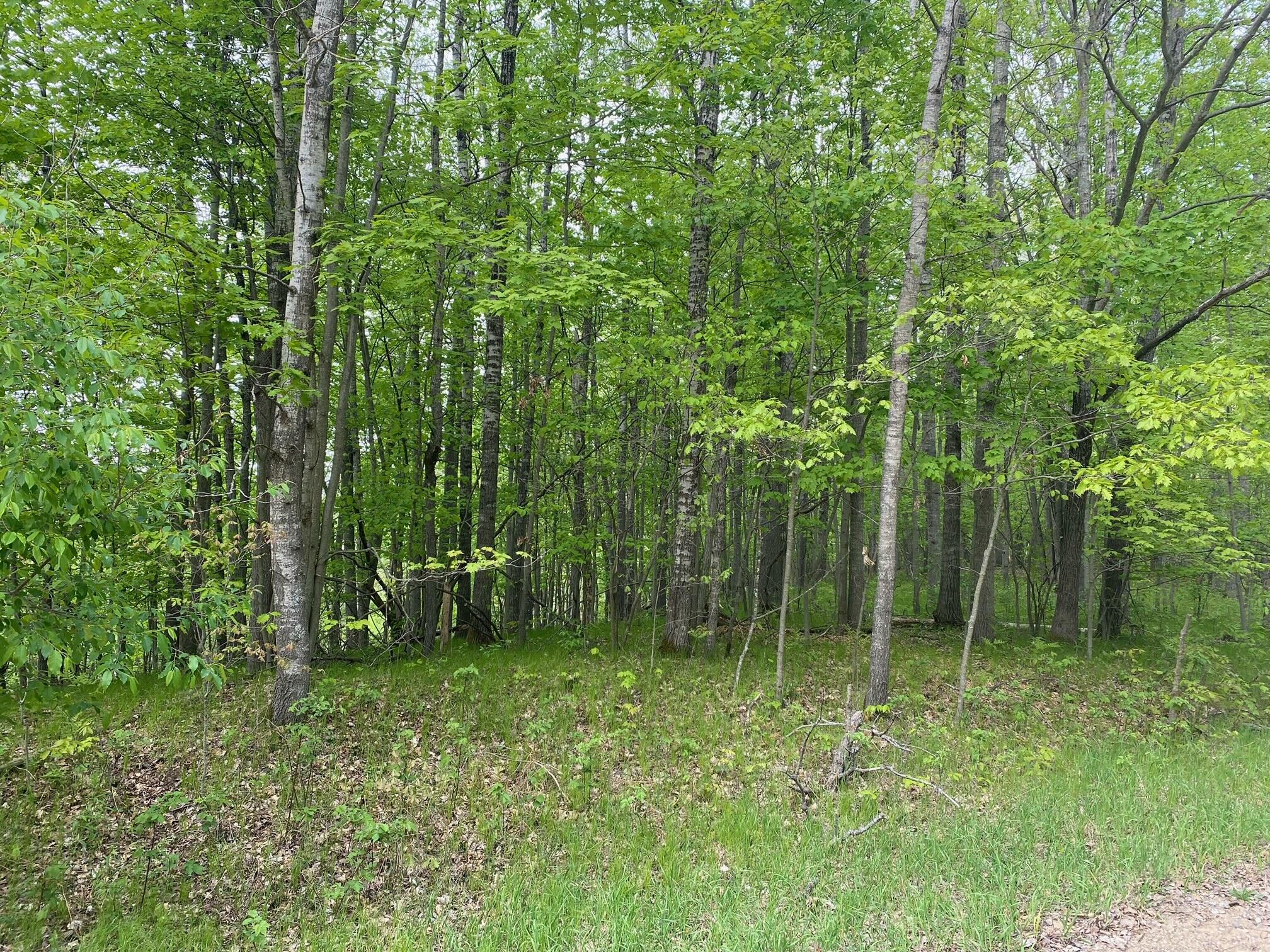 Ticino Drive Reed City, MI 49677 - Photo 8 of 8 8