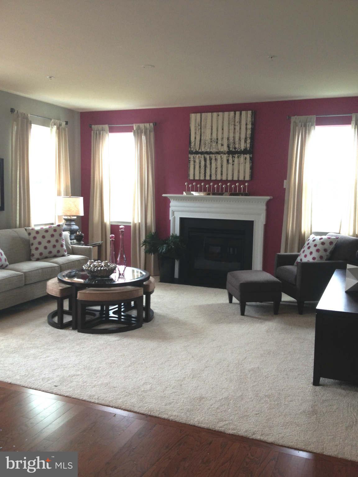 904 Horse Collar Road Accokeek, MD 20607 - Photo 13 of 23 Furnished Living Room Model Photo