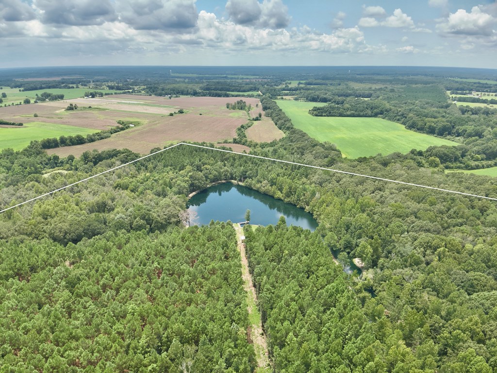 1640 Lafollette Road Slocomb, AL 36375 - Photo 33 of 64
