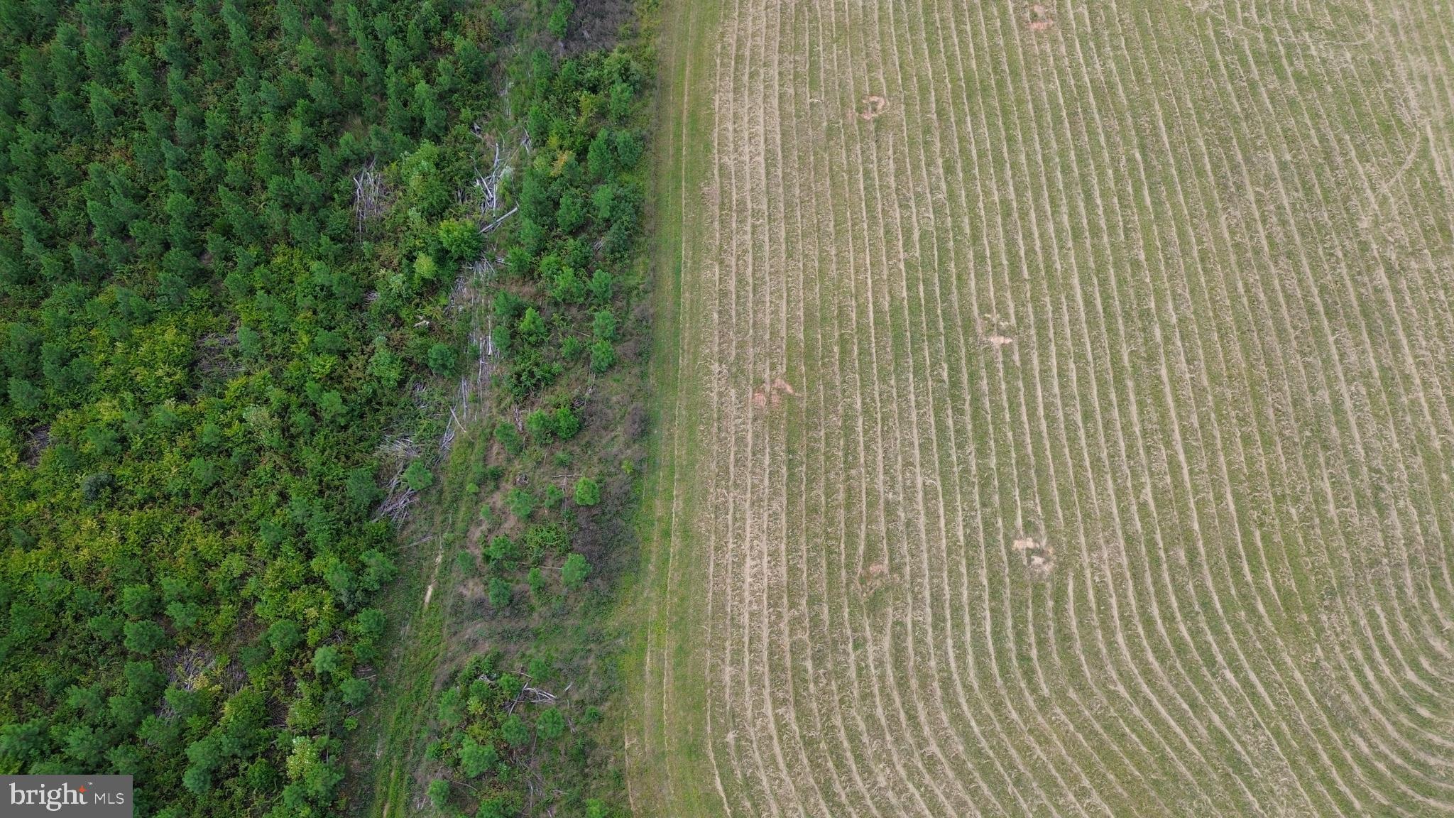 0 Cross County Road, Unit CROSS COUNTY ROAD Mineral, VA 23117 - Photo 74 of 82 Gallery Image 74