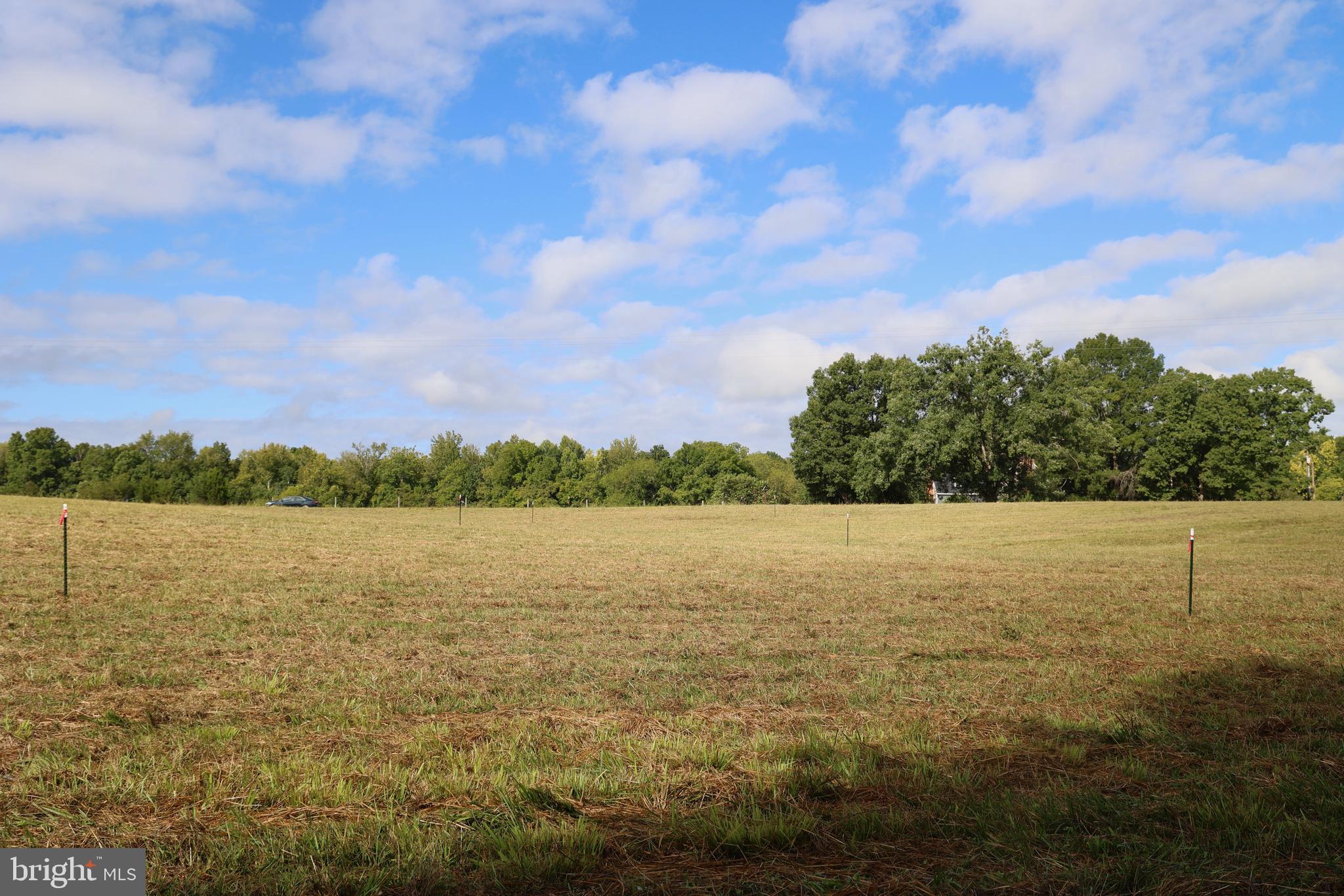 0 Cross County Road, Unit CROSS COUNTY ROAD Mineral, VA 23117 - Photo 8 of 82 Gallery Image 8